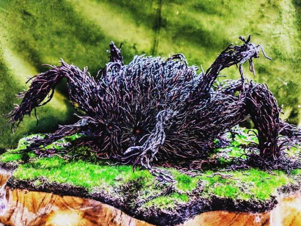 およそ６５００本の綿棒で作ったモノに「本当に綿棒！？」「すごすぎる」