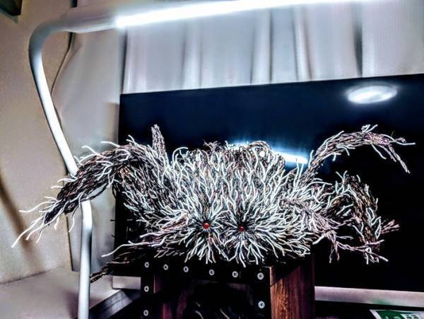 およそ６５００本の綿棒で作ったモノに「本当に綿棒！？」「すごすぎる」