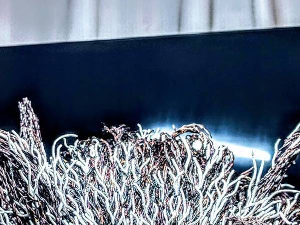 およそ６５００本の綿棒で作ったモノに「本当に綿棒！？」「すごすぎる」