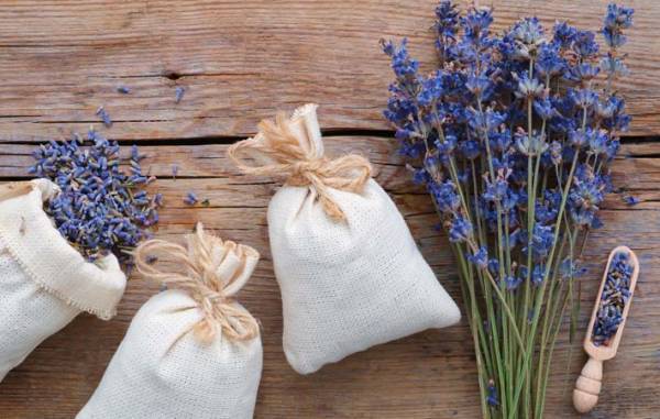 『ハーブの女王』と呼ばれるラベンダーは、心地よい香りが最高