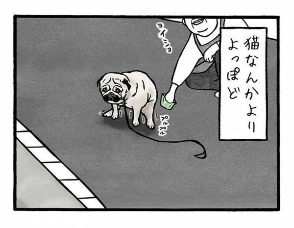 「猫より恐ろしい」　左官職人が警戒する『通行者』にクスッ！