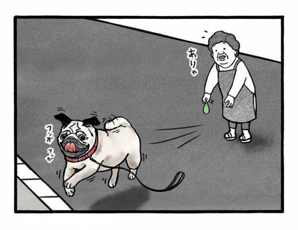 「猫より恐ろしい」　左官職人が警戒する『通行者』にクスッ！