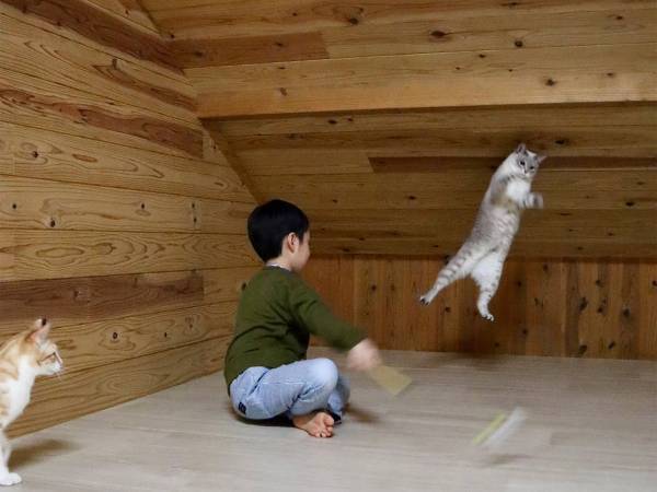 親「子供と猫が行う謎の儀式」　その光景にクスッ！
