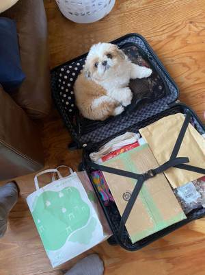 飼い主「違います」　母親が帰り支度をしていたら、愛犬が？