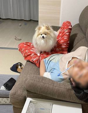 ポメラニアンが「がっかり…」　その理由に「笑った」「呆れてる！」