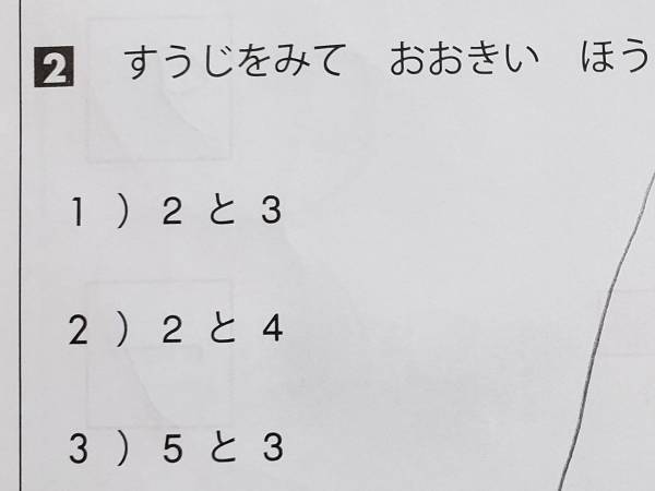 「違う、そうじゃない」　大きい数字を選ぶ算数の問題で次女が解答したのは？