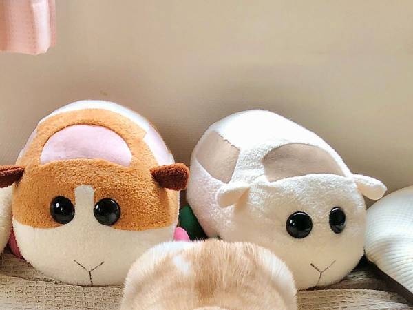 「なんか増えた」　モルカーのぬいぐるみに擬態したのは？　「くっ…かわいすぎる」