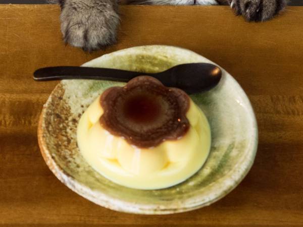 プリンに忍び寄るのは…　写真に「なんていい表情」「額にいれて飾りたい」の声