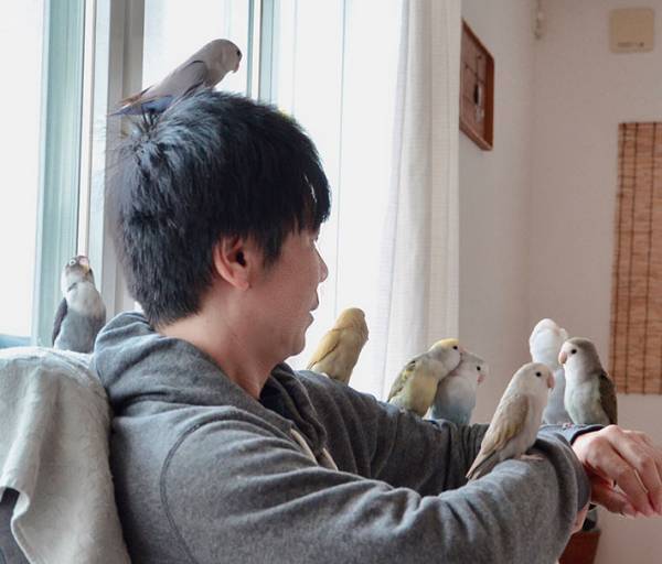 「うらやましい」「これが『鳥貴族』か」　８羽の鳥が、１か所に集まり…？