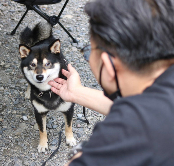 誰になでなでしてもらうかで態度を変える犬　違いに「泣けてくる」