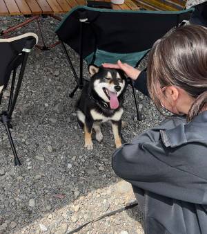 誰になでなでしてもらうかで態度を変える犬　違いに「泣けてくる」