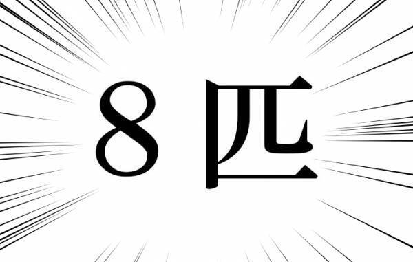 「見つけられなかった…」　写真に写る猫　３匹だけではなく？