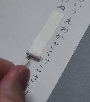 一見ただのカーペットクリーナー　しかし、よく見ると…？　「発想が素敵」