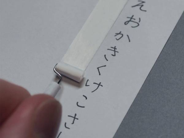 一見ただのカーペットクリーナー　しかし、よく見ると…？　「発想が素敵」