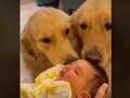 赤ちゃんと初対面した犬　驚きの行動に「なんて優しい」「涙が出た」