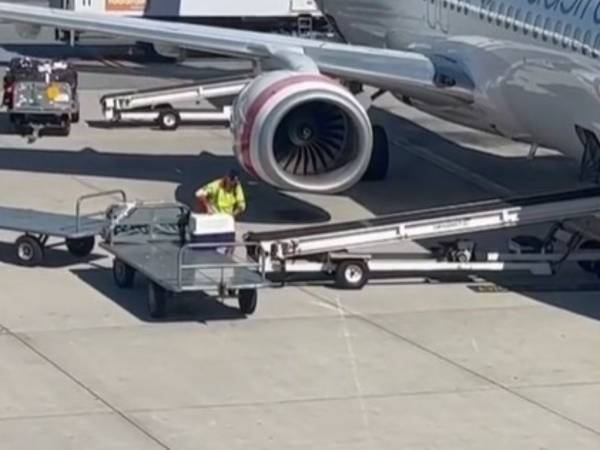 ペットをなかなか飛行機に乗せない空港職員　何をしているのかと思ったら？