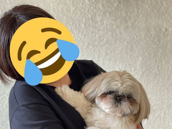 愛犬のシーズーを抱っこしようとしたら？　見事な『拒否っぷり』に飼い主、涙目