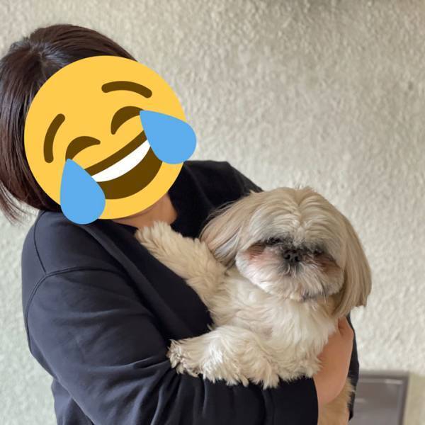 愛犬のシーズーを抱っこしようとしたら？　見事な『拒否っぷり』に飼い主、涙目