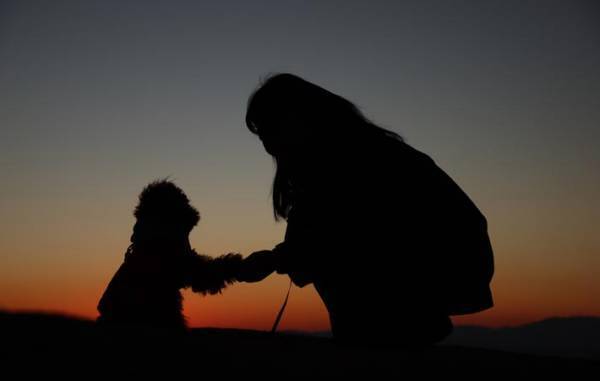 『大丈夫』という魔法　言葉で何も伝えることができない動物たちの言葉に耳を傾ける