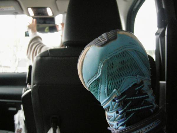 ３歳児にカメラを１日渡してみると…？撮られた写真に「感動した」「天才」