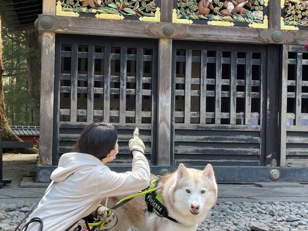 神社で犬が意地でも見ようとしなかったものに「言葉通りすぎる…！」