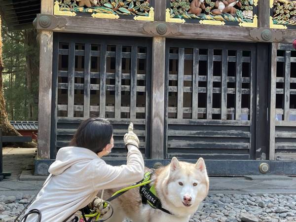 神社で犬が意地でも見ようとしなかったものに「言葉通りすぎる…！」