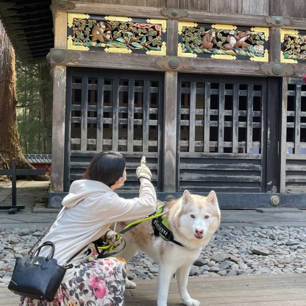 神社で犬が意地でも見ようとしなかったものに「言葉通りすぎる…！」