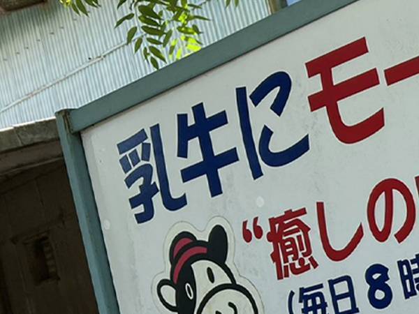 牧場にあった看板が？　書かれていた言葉に「初めて見た時驚いた」