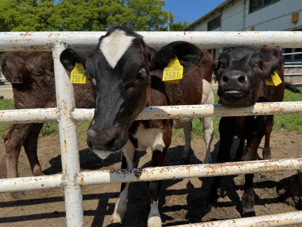 牧場にあった看板が？　書かれていた言葉に「初めて見た時驚いた」