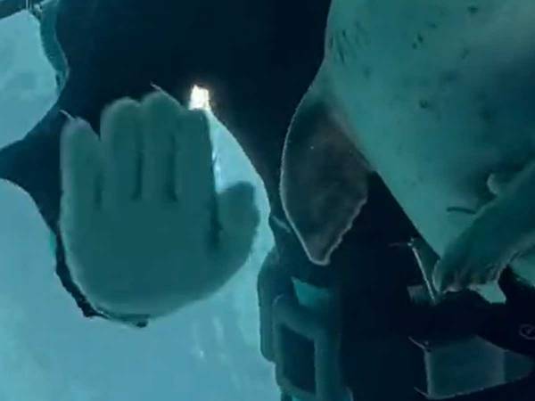 飼育員が小脇に抱えているのは…？　「かわいすぎ」「まさに、海の犬！」