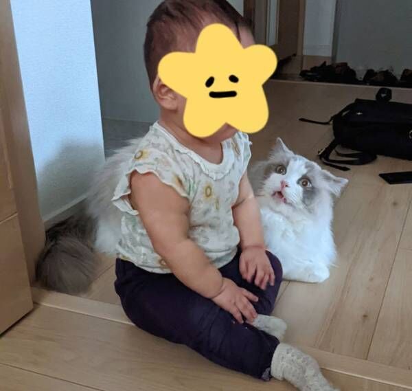 猫の隣に突然座った０歳の娘　すると、猫が見せた表情が？