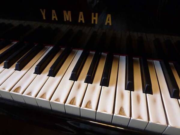 音楽大学のピアノ　鍵盤をよく見ると「胸が熱くなった」「これはすごい」
