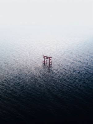 「神様の気配感じる」　鳥居を撮影した１枚に、惹きつけられる