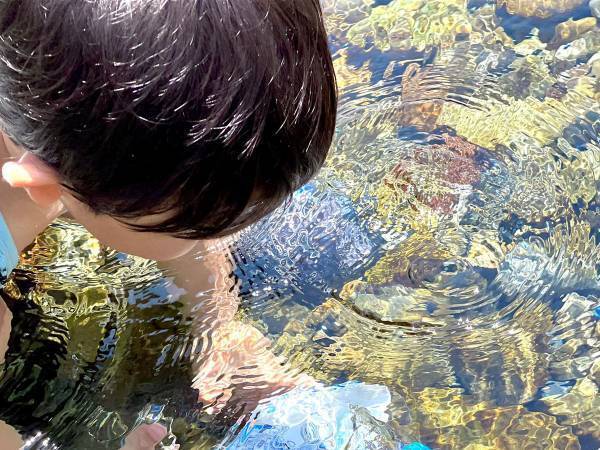 ３歳児「キラキラだから…」　子供の発想に、胸がジーン