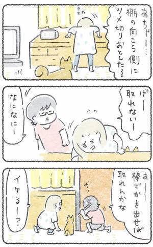 飼い主が困っていると、いつの間に？　豆柴の行動に「健気でかわいい」「あるある」の声