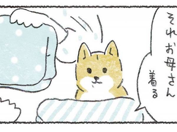 飼い主が困っていると、いつの間に？　豆柴の行動に「健気でかわいい」「あるある」の声