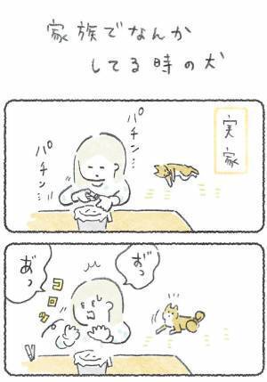 飼い主が困っていると、いつの間に？　豆柴の行動に「健気でかわいい」「あるある」の声