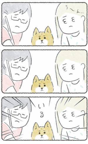 飼い主が困っていると、いつの間に？　豆柴の行動に「健気でかわいい」「あるある」の声