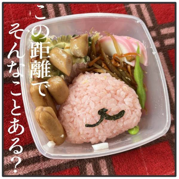 娘のためにキャラ弁を作った母親　３ｍで起きた悲劇に「そんなことある？」