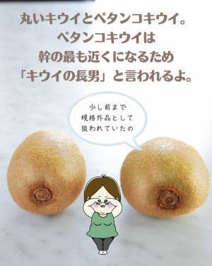 「より甘いのはどっち？」　キウイの『見分け方』に反響　「知らなかった」「早速探してみる！」