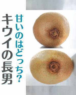 「より甘いのはどっち？」　キウイの『見分け方』に反響　「知らなかった」「早速探してみる！」
