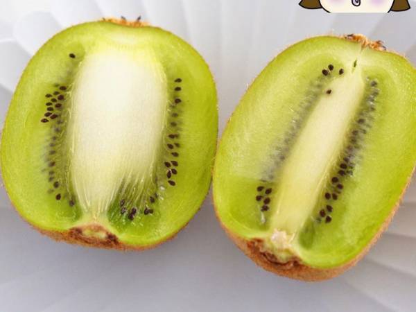 「より甘いのはどっち？」　キウイの『見分け方』に反響　「知らなかった」「早速探してみる！」
