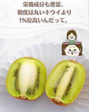 「より甘いのはどっち？」　キウイの『見分け方』に反響　「知らなかった」「早速探してみる！」