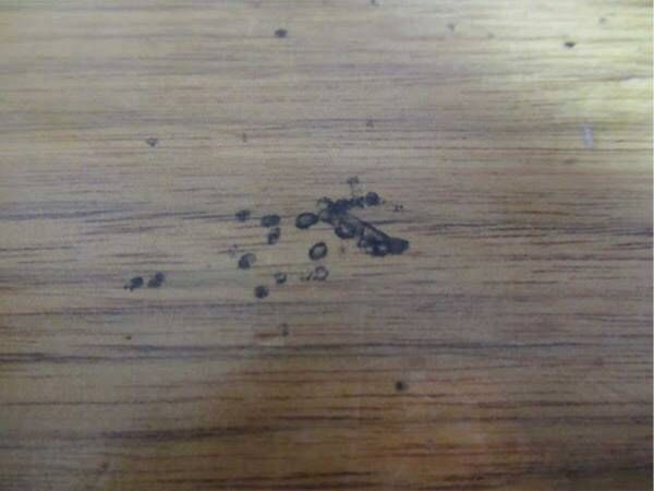 テーブルの塗装がはがれない！？　サインペンの落書きは○○で落とすのがおすすめ