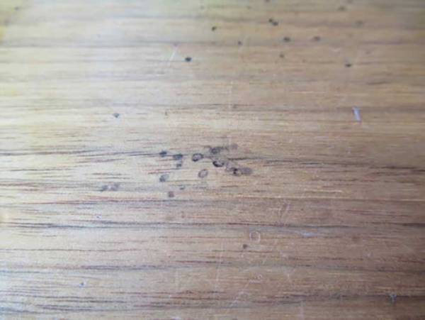 テーブルの塗装がはがれない！？　サインペンの落書きは○○で落とすのがおすすめ