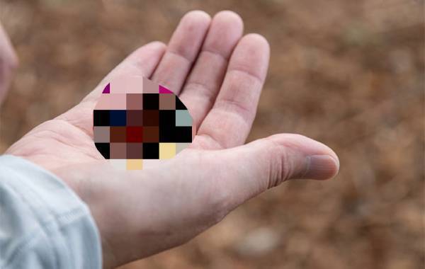 育休復帰のママ　「何これ…」１歳児をお風呂に入れた翌朝、事件は起きた