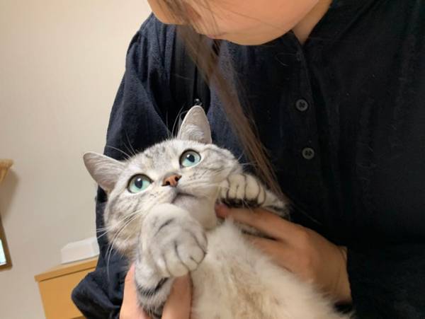 「恋をしている目だ」　高校３年生の娘が大好きな猫　抱っこされると？