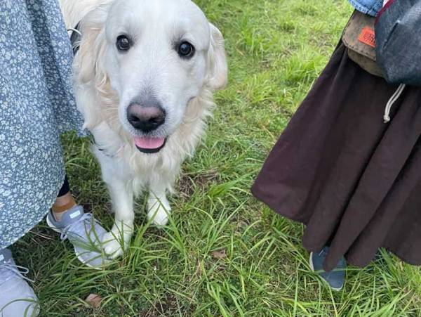 「この顔はずるい」「許す！」満面の笑みを浮かべる犬　しかし、足元を見ると…？