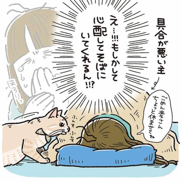 体調不良の飼い主　猫の行動に「あるある」の声相次ぐ