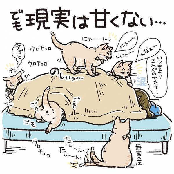 体調不良の飼い主　猫の行動に「あるある」の声相次ぐ